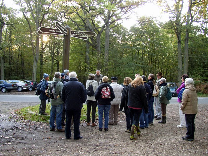 Arbres remarquables 09